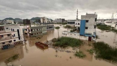 Telangana News | 16 dead in rain-related incidents