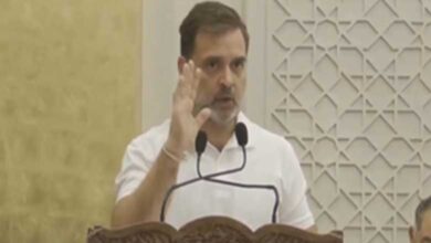 Rahul Gandhi hails SC's observations, slams BJP's 'bulldozer policy'