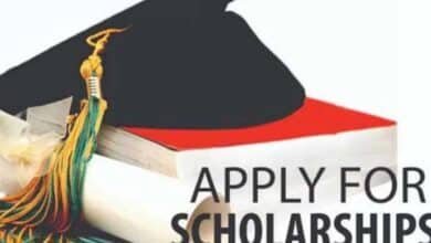 Telangana postal department invites applications for scholarship 2024-25