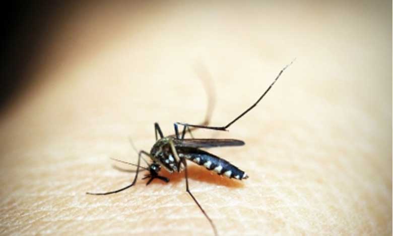 Vadodara sets up 28-bed dedicated treatment ward to tackle dengue