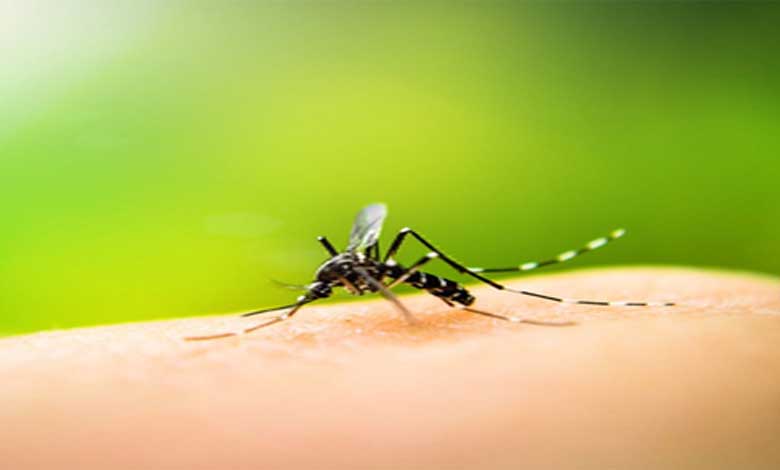 TN: Public warning for Dengue, Malaria risks as northeast monsoon sets in