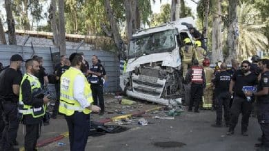 Palestinian killed by Israeli gunfire after alleged ramming attempt