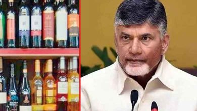 CM Chandrababu Warns TDP Representatives Against Interference in Sand and Liquor Business