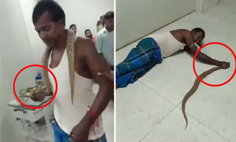 Man Brings Snake to Hospital After Being Bitten, Video Goes Viral on Social Meda