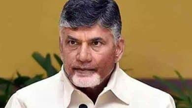 Chandrababu Naidu to launch free gas cylinders scheme on Nov 1