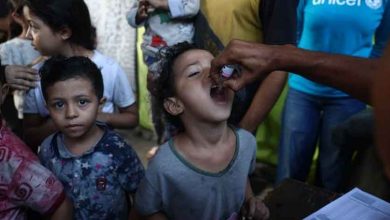 WHO delivers supplies for 2nd phase of polio vaccination campaign in Gaza: UN