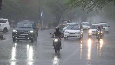 Telangana Rain | Thunderstorm with lightning likely in these areas in next 24 hours: Met