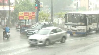 Thunderstorm with lightning & gusty winds likely in Telangana: Met