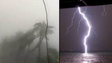 64 killed in Marathwada in rain-related incidents in this year's monsoon; 38 by lightning strikes