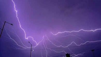 Telangana News | Thunderstorm with lightning and gusty winds likely in next 24 hrs: Met