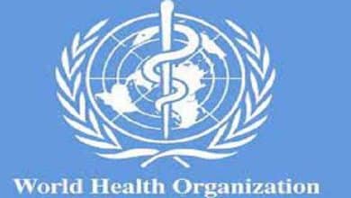 Nearly 1 in 2 primary health centers in Lebanon conflict areas closed - WHO