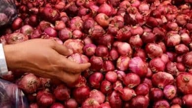 Maharashtra CM Eknath Shinde takes firm steps against onion hoarding amid rising prices.