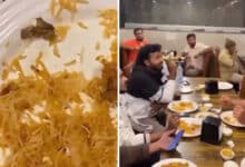 Cigarette Butt Found in Biryani at Popular Hyderabad Restaurant