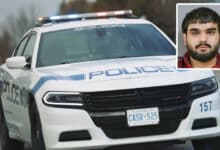 Use of Punjabi Language Leads to Arrest of Indian-Origin Suspect in Brampton Sexual Assaults