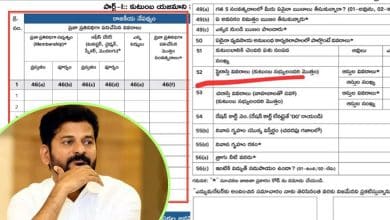 Caste Census: Why Is the Government Collecting Plot Details? Questions Arise Over Political Aspects of the Survey