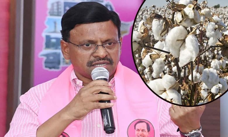 MLC Tatha Madhusudhan Questions CCI's Absence as Cotton Farmers Face Procurement Issues