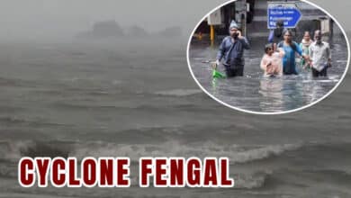 Cyclone Fengal Makes Landfall Near Puducherry, Causes Widespread Damage and Disruptions