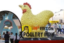 Poultry India Expo 2024: The Largest Poultry Exhibition in South Asia Kicks Off in Hyderabad