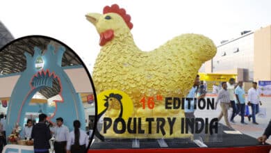 Poultry India Expo 2024: The Largest Poultry Exhibition in South Asia Kicks Off in Hyderabad