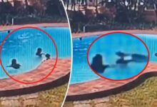 Karnataka Tragedy: Three Young Women Drown in Swimming Pool at Vazco Resort