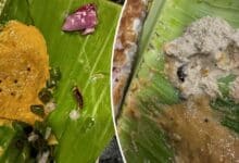 Hyderabad Customer Finds Cockroaches in Food at Kukatpally Tiffin Center