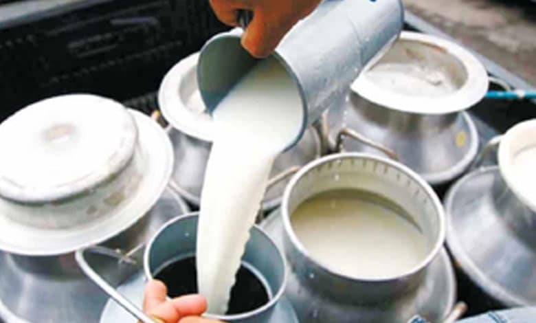 India's milk production rises 4 pc to cross 239 million tonnes in 2023-24