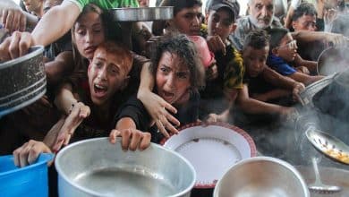 Hungry Palestinians in north Gaza search for food, sealed off from aid by Israeli siege