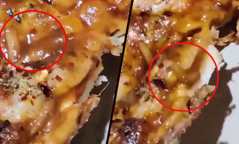 Shocking Bite: Customer Discovers Insects Crawling in Pizza Ordered from Hotel