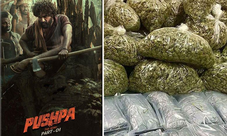 Real-Life Pushpa Scene: Marijuana Smugglers Busted in Water Tanker Near Telangana-Maharashtra Border