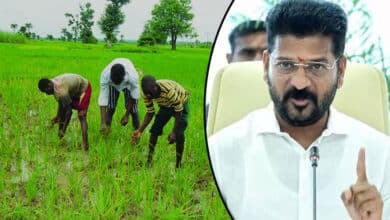 REVANTH FARMERS 1 Telangana Sees 61% Rise in Fine Paddy Cultivation Following Rs 500 Bonus Announcement