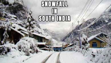 Discover the Only Place in South India Where Snow Falls!