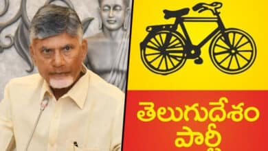 TDP set to re-enter Rajya Sabha with by-elections to 3 seats