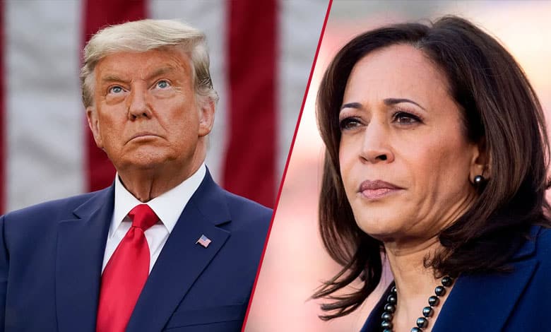 US polls: Where do Harris and Trump stand on the key election issues?