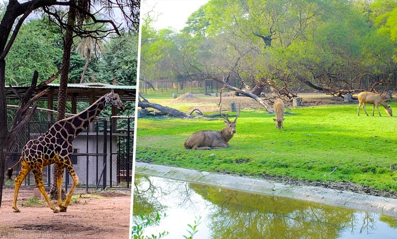 ZOO PARK Top 6 Historic Sites to Visit in Hyderabad