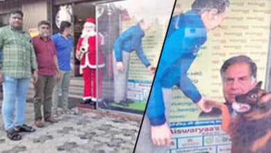 Tamil Nadu bakery makes 7-foot-tall cake of Ratan Tata and his dog for Christmas celebrations