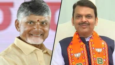 Andhra CM Chandrababu Naidu to attend Fadnavis' swearing in ceremony