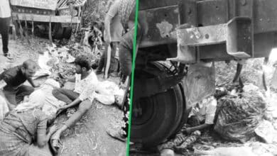 Tragic Road Accident in Ranga Reddy: Truck Rams into Vegetable Vendors, 10 Dead