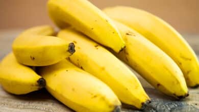 India Targets  Billion Banana Exports Following Successful Sea Route Trial