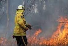 Firefighters continue to battle out-of-control bushfires in Australia's Victoria