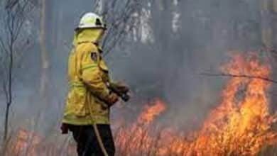 Firefighters continue to battle out-of-control bushfires in Australia's Victoria