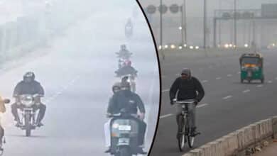 Delhi records second-lowest daytime temperature of winter so far at 23.7 deg C