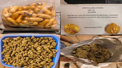 Cocaine, ganja, gold worth Rs 14.76 cr seized at airport, a Cabin crew and 3 pax arrested