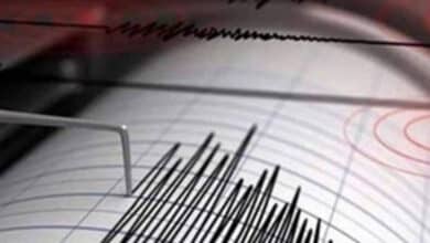 29 injured as 5.6 magnitude quake shakes Iran