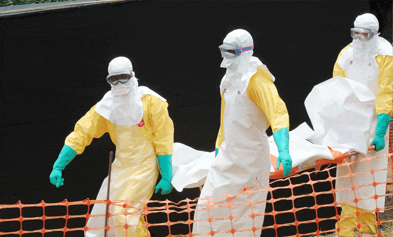 Deadly "Bleeding Eye" Marburg Virus Claims 15 Lives in Rwanda, Spreads to Multiple Countries?