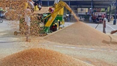 Arrival of kharif crops, robust outlook for rabi augur well for food inflation outlook