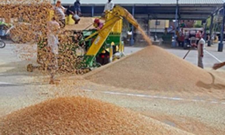 Arrival of kharif crops, robust outlook for rabi augur well for food inflation outlook