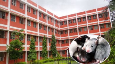 Telangana: Girl Students Attacked by Rats in Hostel, Former Minister Criticizes Government