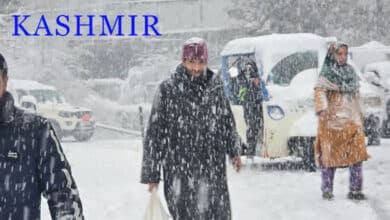 Fresh Snowfall Blankets Kashmir, Disrupts Air, Road, and Rail Traffic