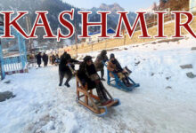 Kashmir Shivers as Cold Wave Intensifies: Srinagar Records Season's Coldest Night