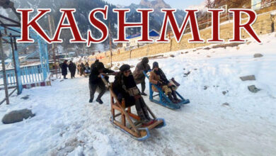 Kashmir Shivers as Cold Wave Intensifies: Srinagar Records Season's Coldest Night